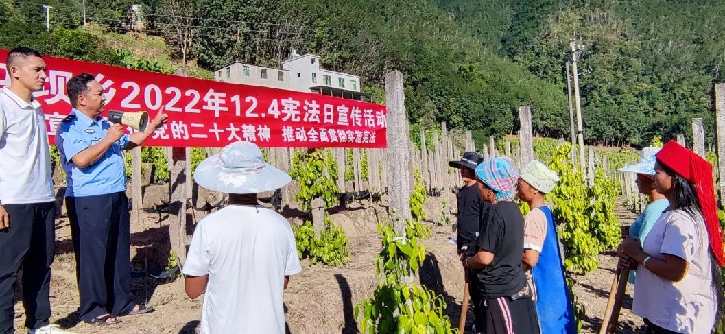 进田间地头.jpg